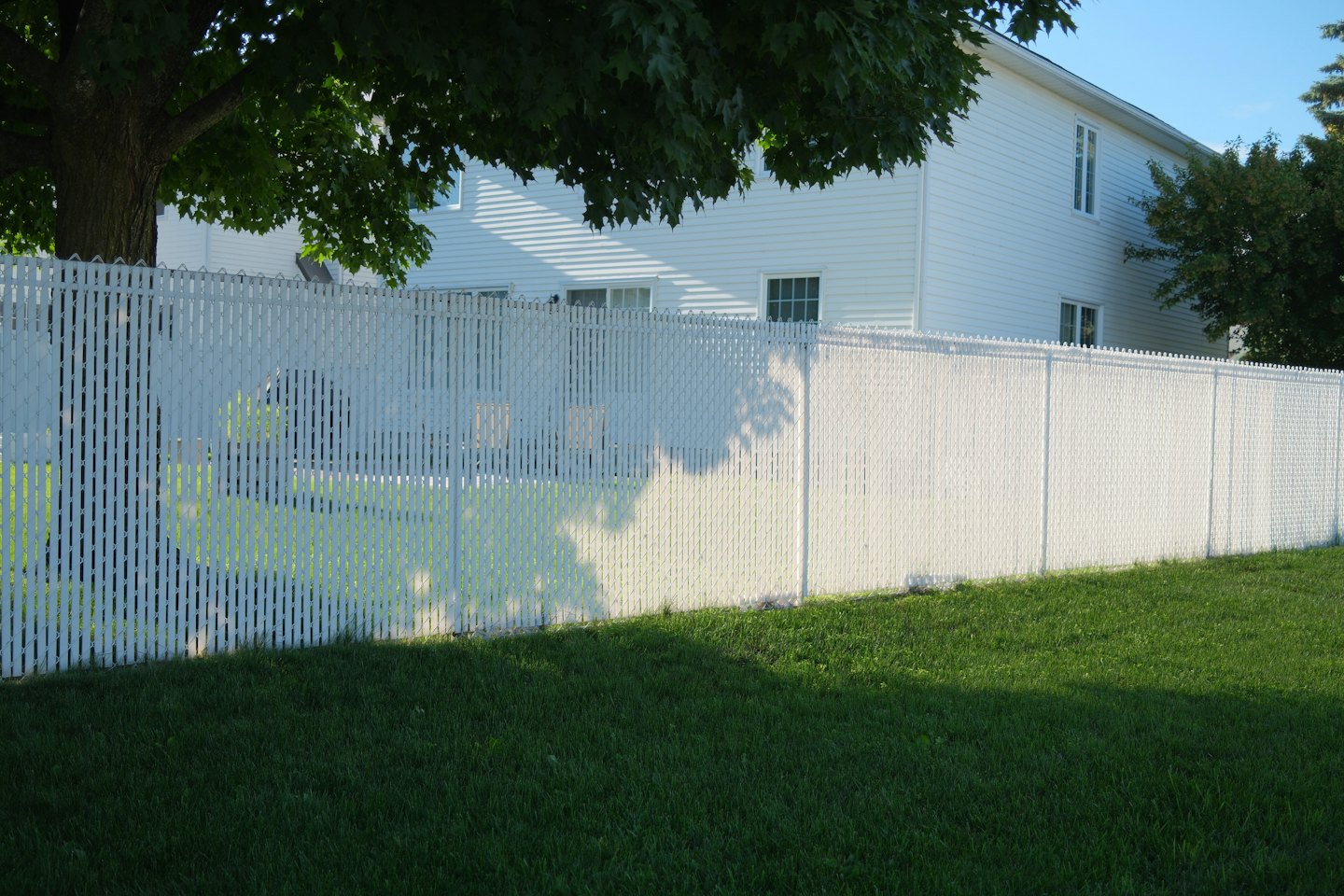 A white chain-link fence divides a green lawn and house.